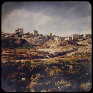 06 Busfahrt von der Oase En Gedi nach Jerusalem (4)