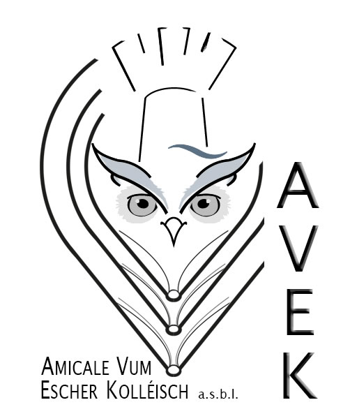 Logo AVEK 2017