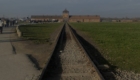 2025-10 Voyage pédagogique Auschwitz (11)