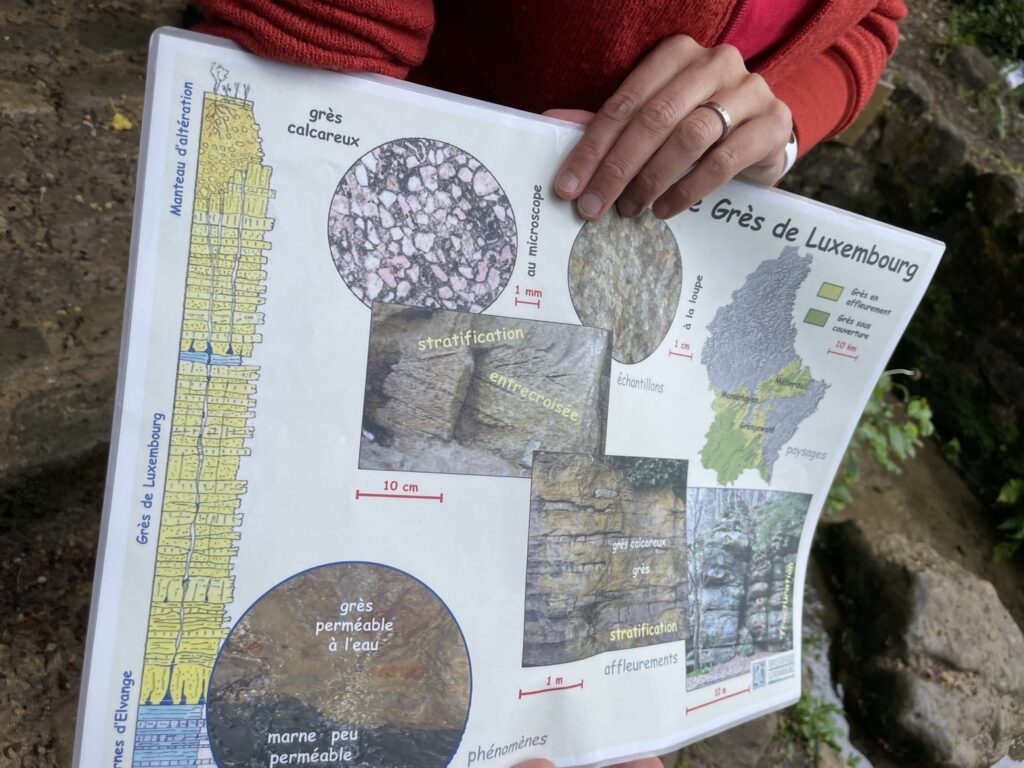 2026-05-20 Maerjendall (4)