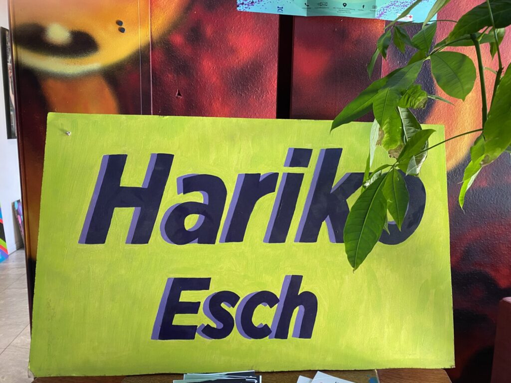 2026 ART Hariko (17)